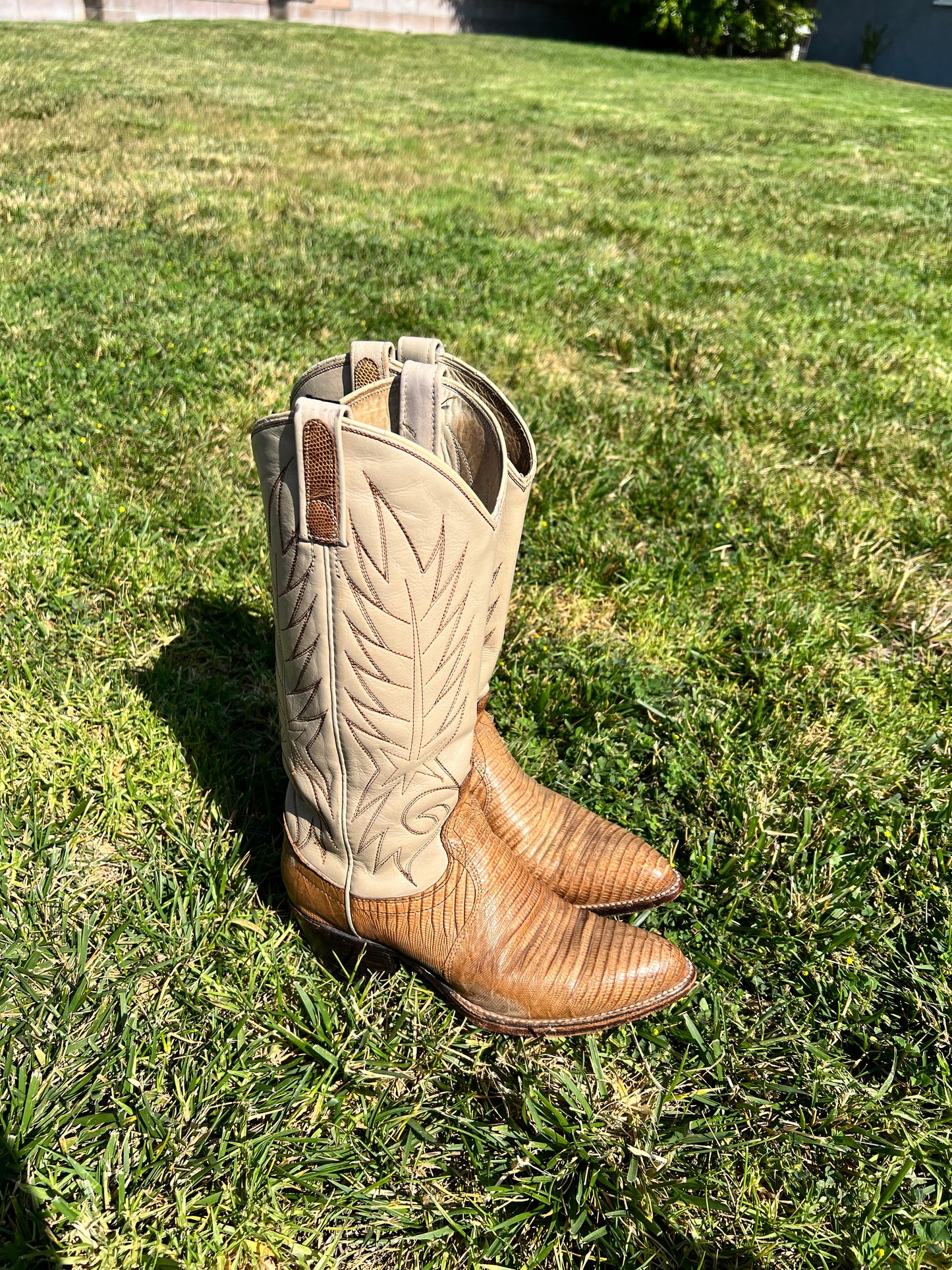 Vtg DAN POST Two-tone Lizard Boots