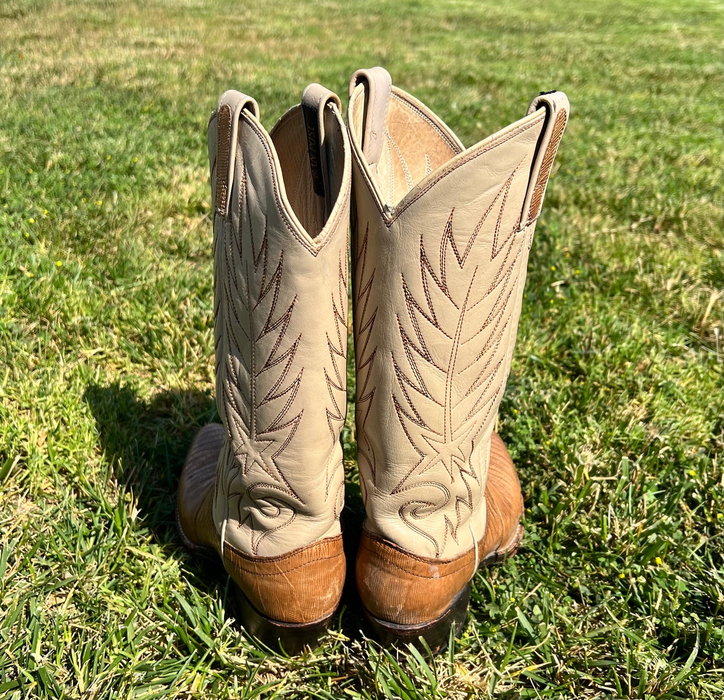 Vtg DAN POST Two-tone Lizard Boots