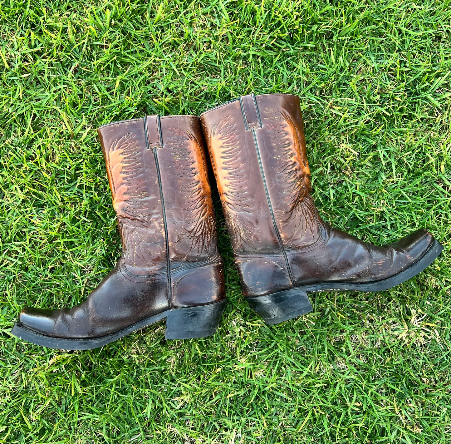 Firebird Wrangler Western Moto Boots